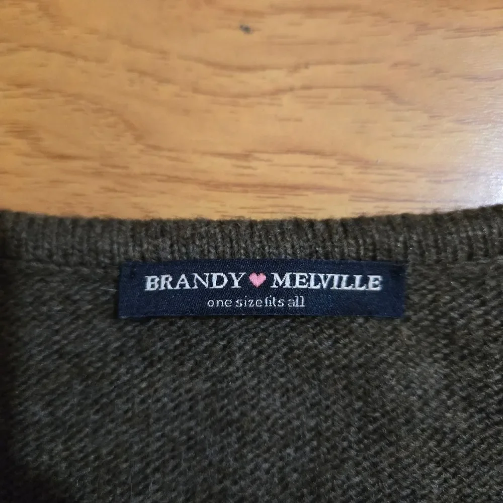 Brandy Melville Brown Crew Neck Sweater